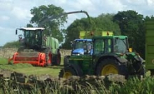 Fendt-Häcksler im Einsatz