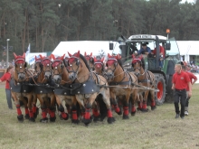 Titanen der Rennbahn